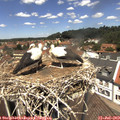 12_45-nest.jpg