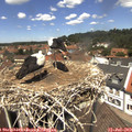 12_50-nest.jpg