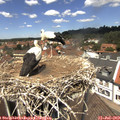 12_55-nest.jpg