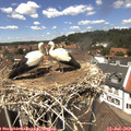 13_25-nest.jpg