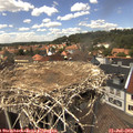 14_20-nest.jpg