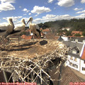 14_40-nest.jpg