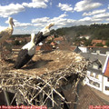 14_55-nest.jpg