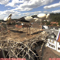 15_25-nest.jpg