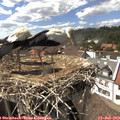15_30-nest.jpg