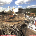 15_40-nest.jpg