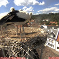 15_45-nest.jpg