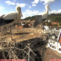 16_20-nest.jpg