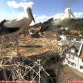 16_30-nest.jpg