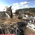 16_50-nest.jpg