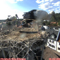 17_50-nest.jpg