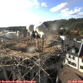 18_15-nest.jpg