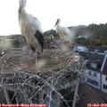 19_35-nest.jpg