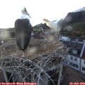 19_40-nest.jpg