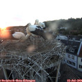 21_15-nest.jpg