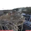 05_35-nest.jpg