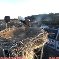 06_05-nest.jpg
