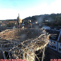 06_15-nest.jpg