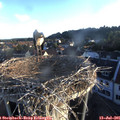 06_20-nest.jpg