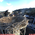 06_25-nest.jpg