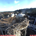 06_35-nest.jpg