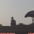 06_45-mast.jpg