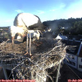 06_45-nest.jpg