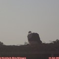 07_00-mast.jpg