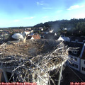 07_00-nest.jpg
