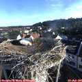 07_05-nest.jpg