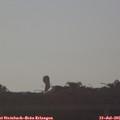 07_10-mast.jpg