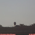 07_15-mast.jpg