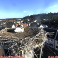 07_30-nest.jpg