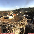 07_35-nest.jpg