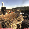 07_40-nest.jpg