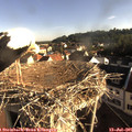 07_55-nest.jpg