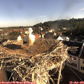 08_00-nest.jpg