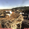 08_10-nest.jpg