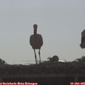 08_35-mast.jpg