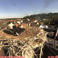 08_55-nest.jpg