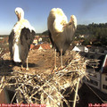 09_05-nest.jpg