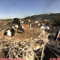 09_30-nest.jpg