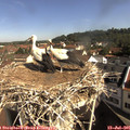 09_40-nest.jpg