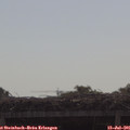 09_50-mast.jpg