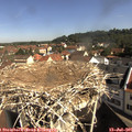 09_50-nest.jpg