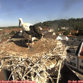 10_00-nest.jpg