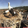 10_05-nest.jpg