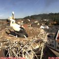 10_15-nest.jpg