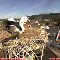 10_45-nest.jpg