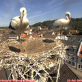 11_00-nest.jpg